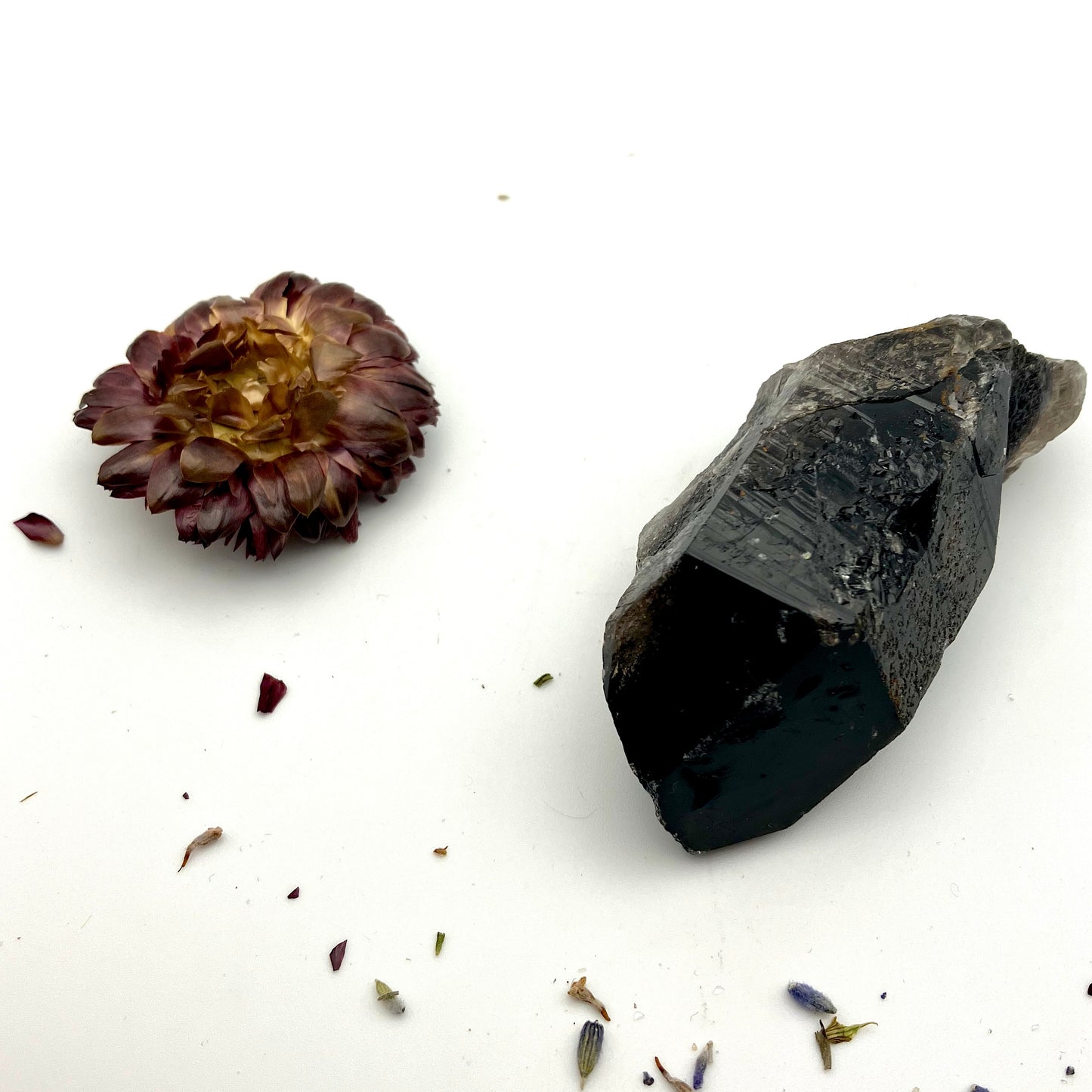 Very dark, natural Smoky Quartz point 88g