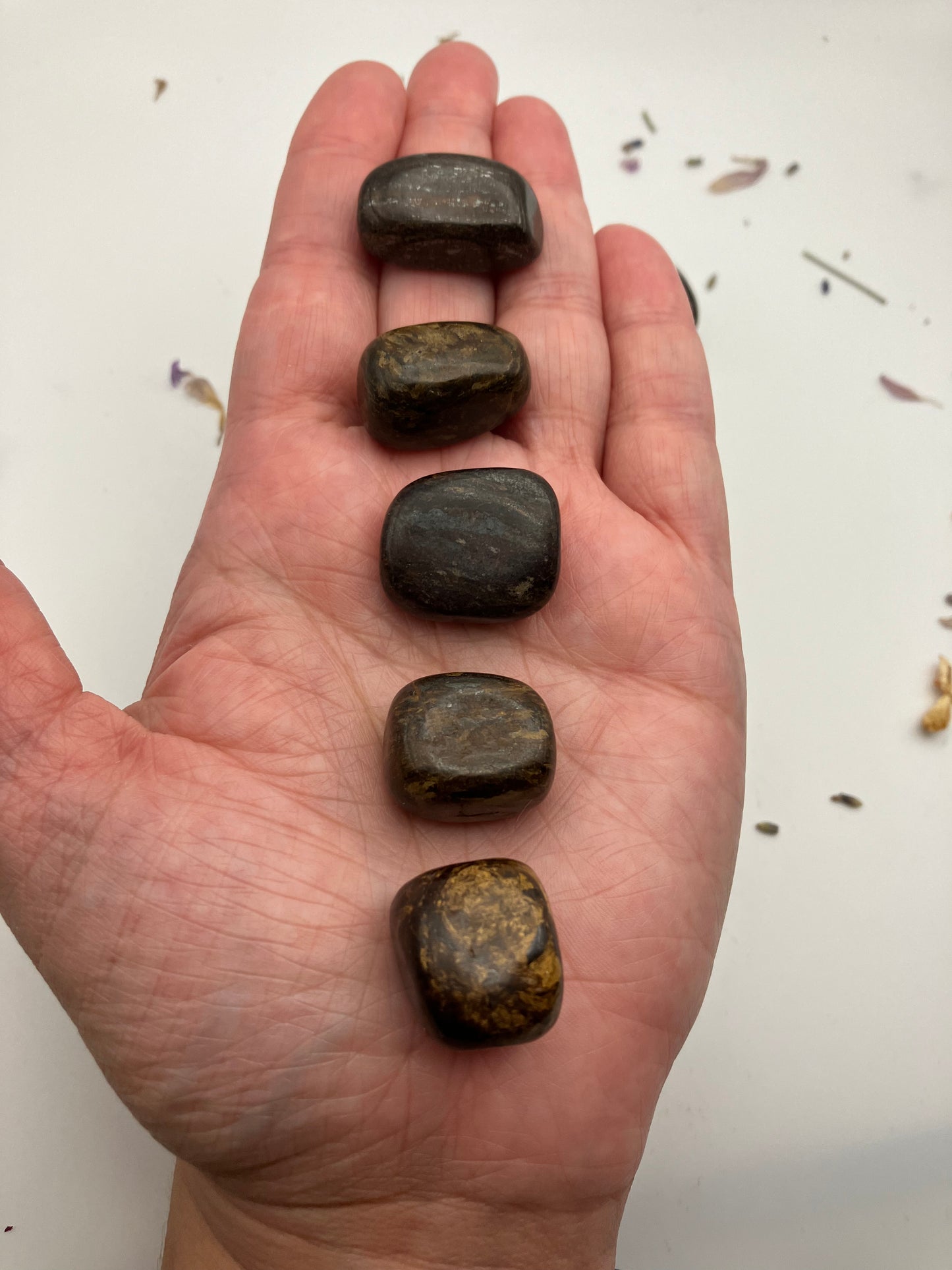 Bronzite Tumblestones / 2 sizes