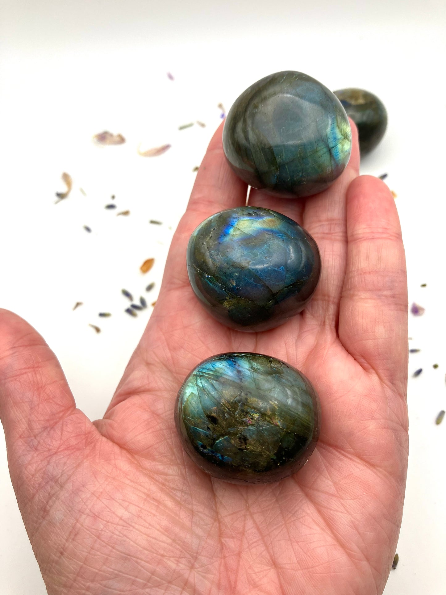 Flashy Labradorite Mini Boulders