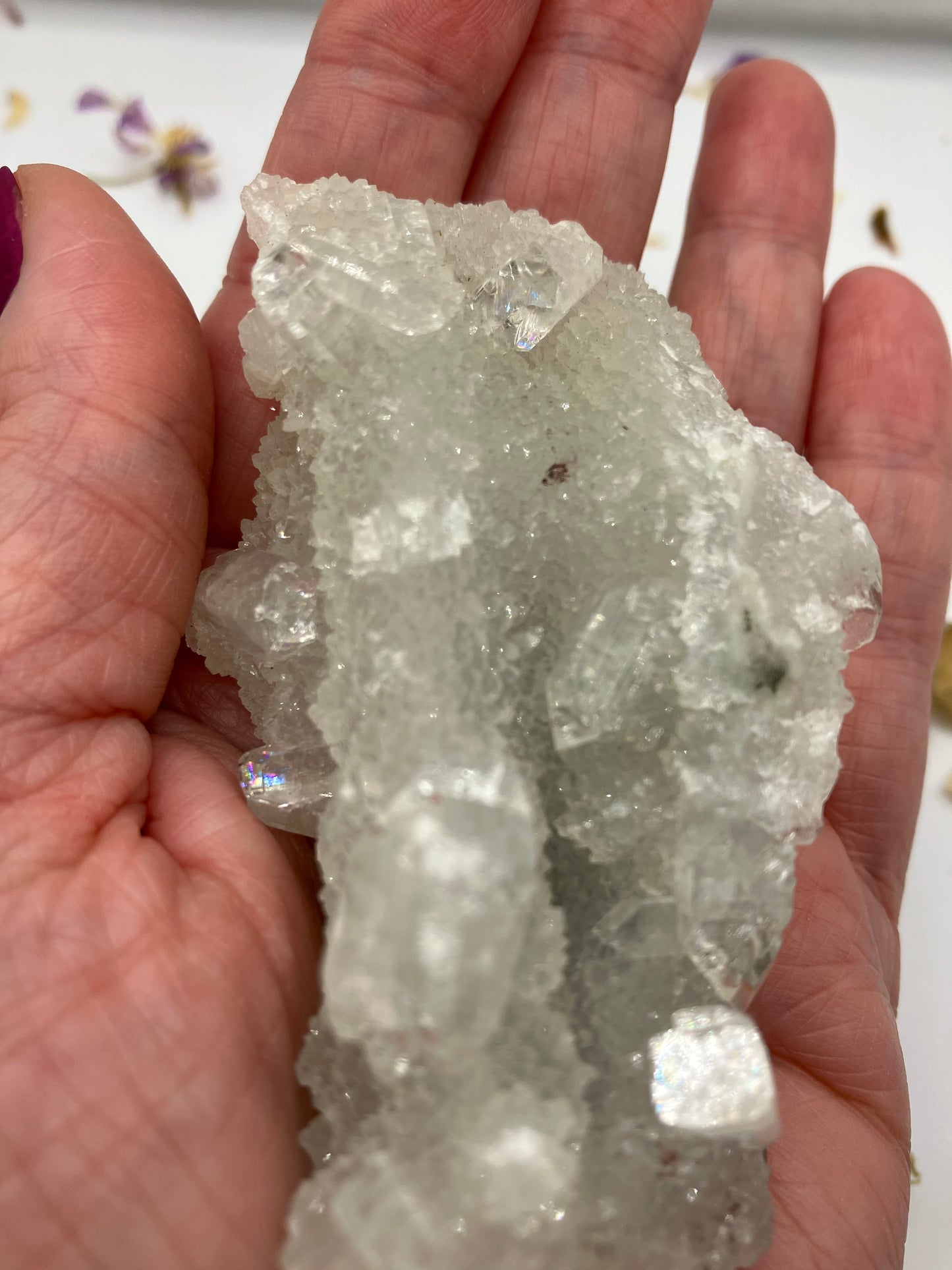 Apophyllite Cluster 4