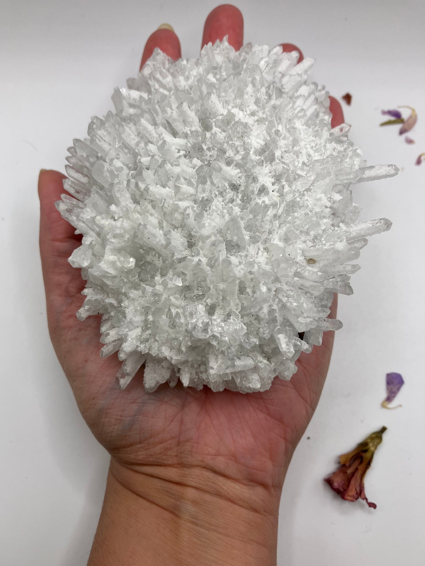 Snow Quartz needle cluster, on pyrite and galena matrix. 512 g