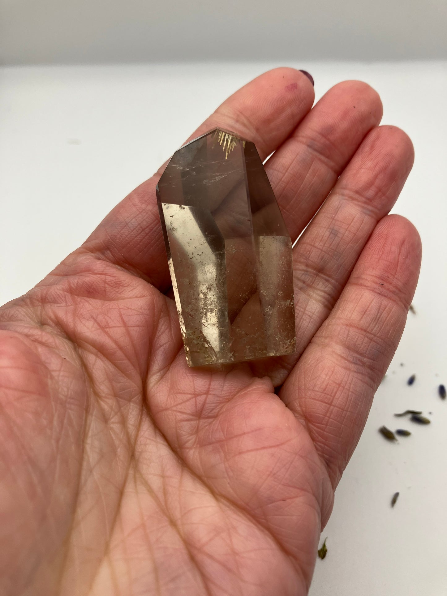 Smoky Quartz Freeform with little golden rutile inclusion at tip.