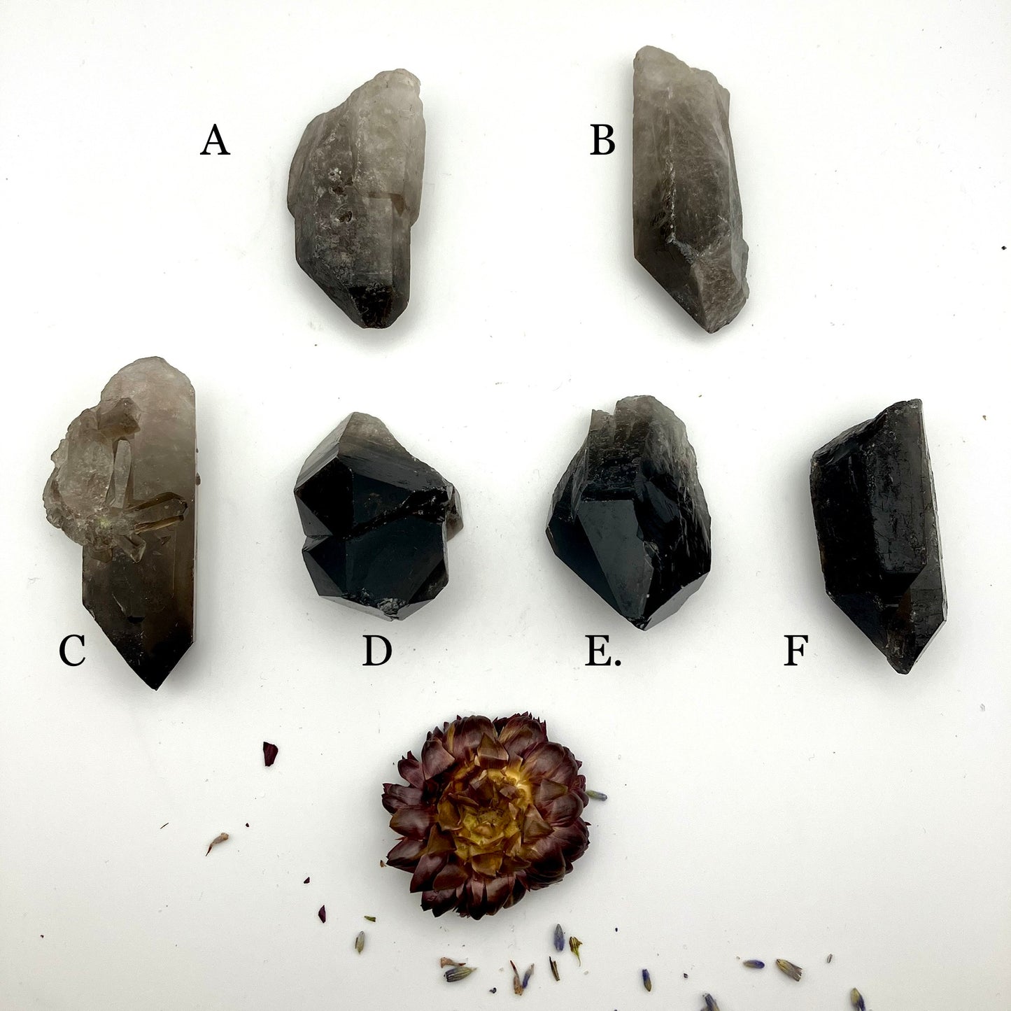 Very dark, natural Smoky Quartz points. 40-45 g 6 available